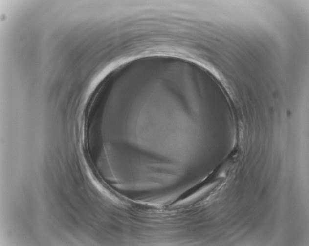 X0000087541515200705112043
