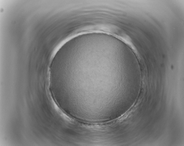 X0000087541524200705112043
