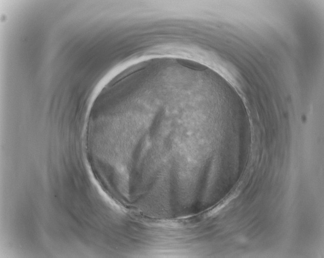 X0000087541536200705112044