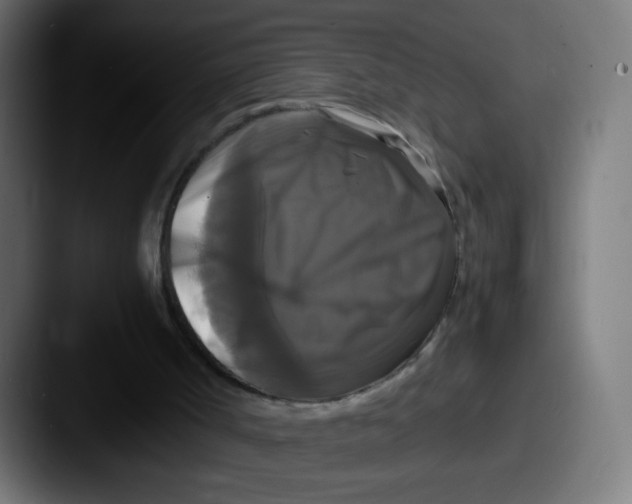 X0000087540002200705181057