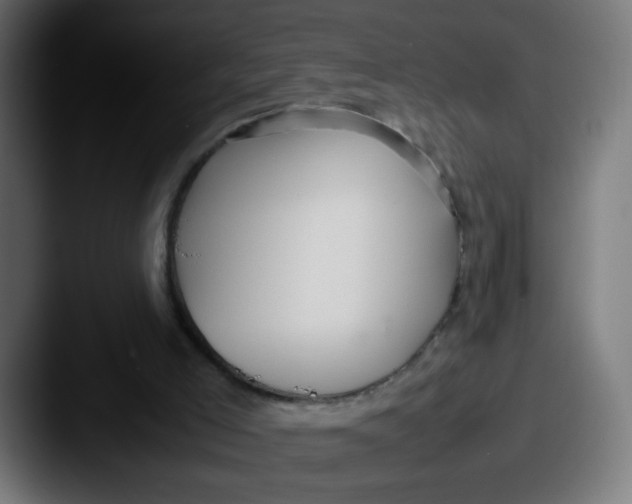 X0000087540005200705181057