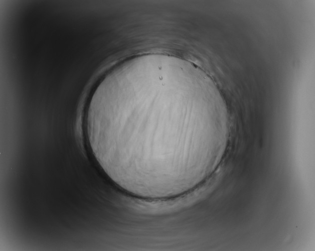 X0000087540006200705181057