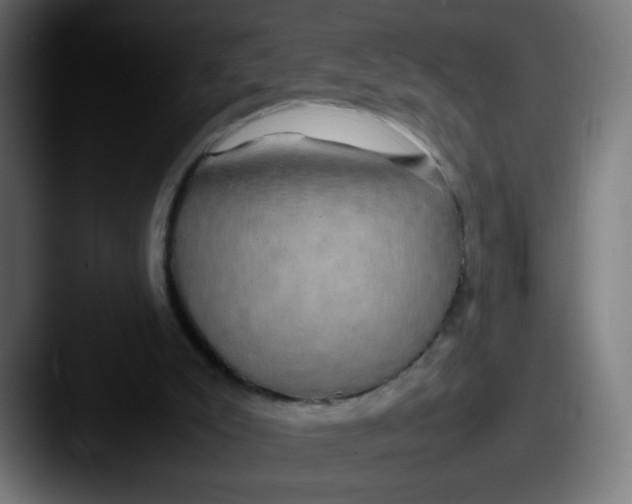 X0000087540007200705181057