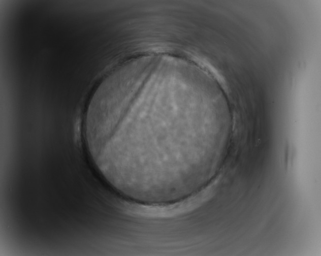 X0000087540010200705181057