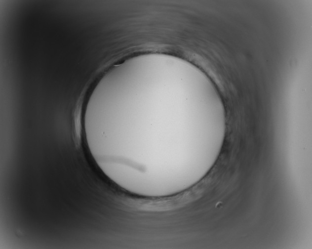 X0000087540011200705181057