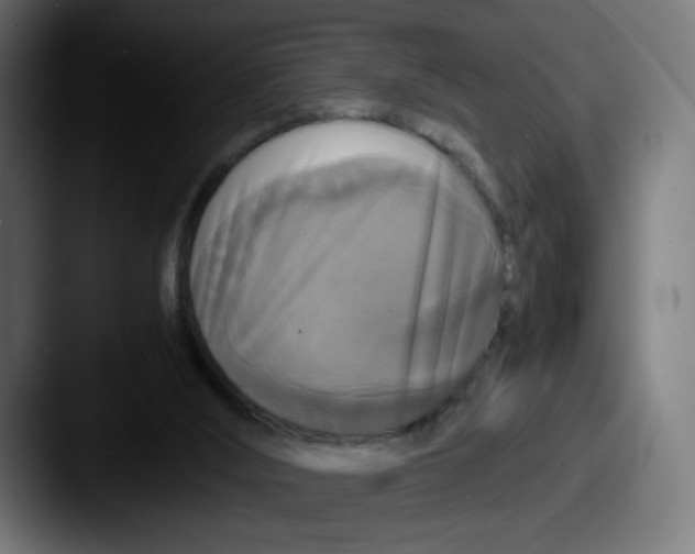 X0000087540012200705181057