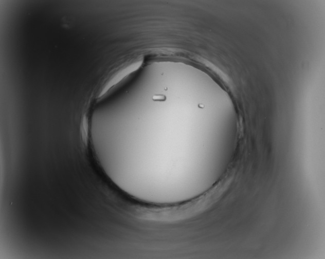 X0000087540013200705181057