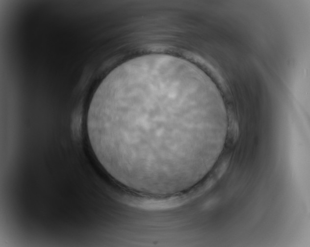 X0000087540016200705181057