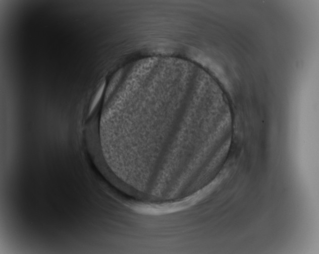 X0000087540017200705181057