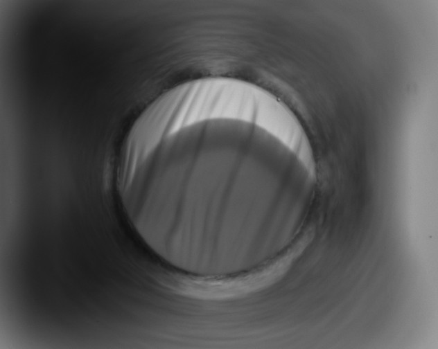 X0000087540018200705181057