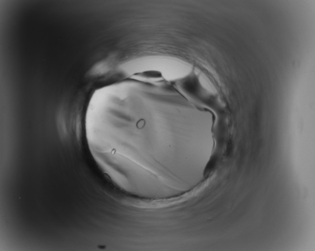 X0000087540019200705181056