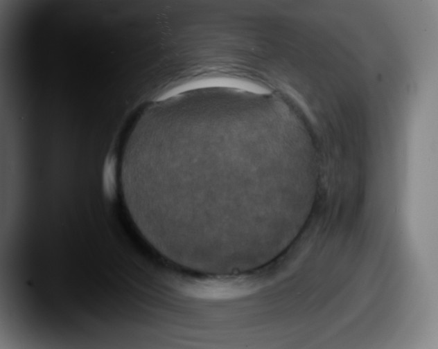 X0000087540020200705181056