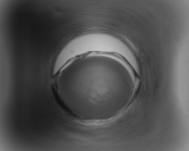 X0000087540023200705181056