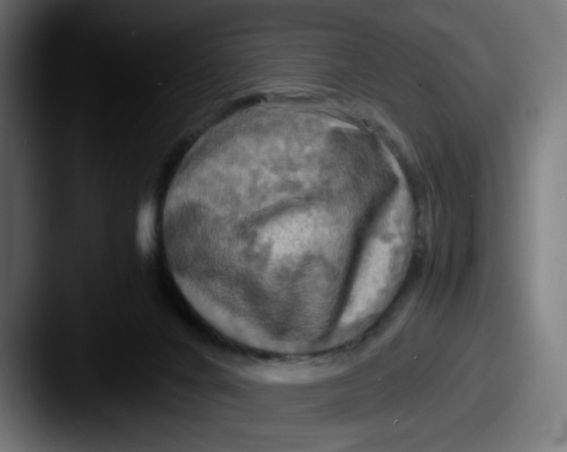 X0000087540024200705181056