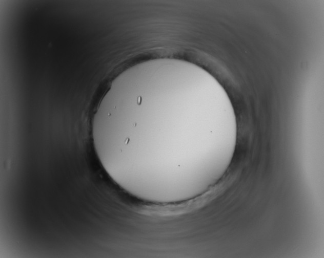 X0000087540025200705181056