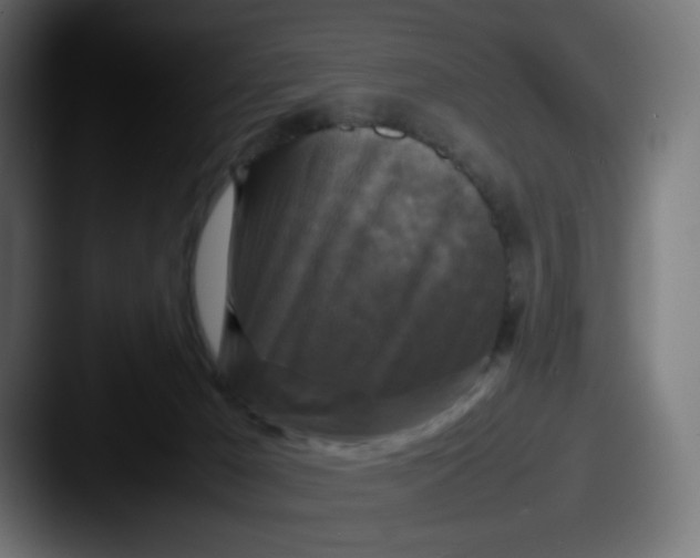 X0000087540029200705181056