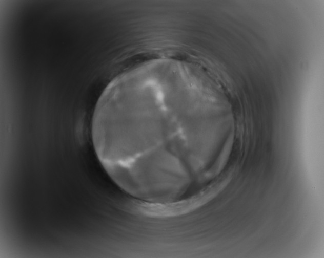 X0000087540030200705181056