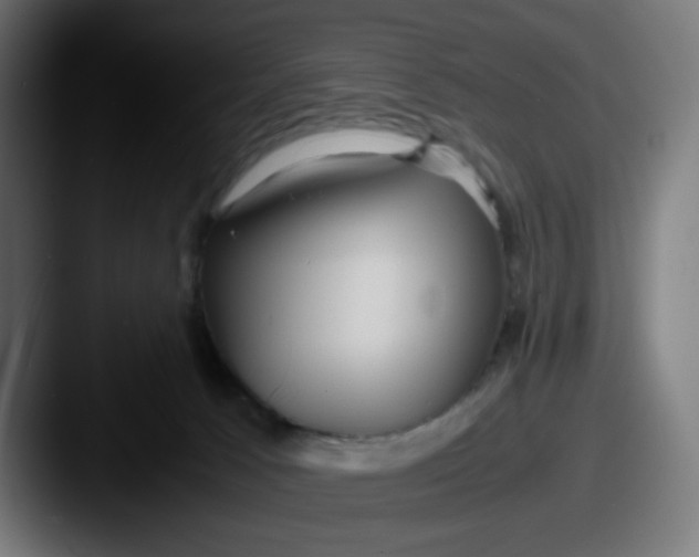 X0000087540033200705181056