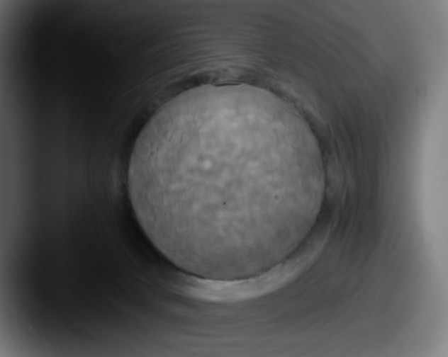 X0000087540034200705181056