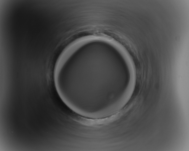 X0000087540035200705181056