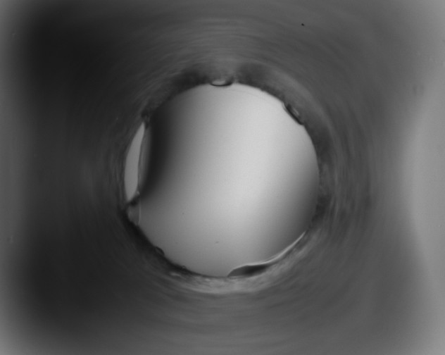 X0000087540037200705181056