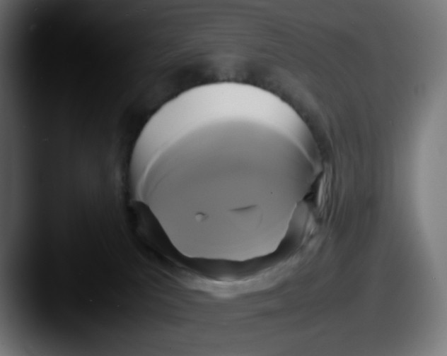 X0000087540039200705181056