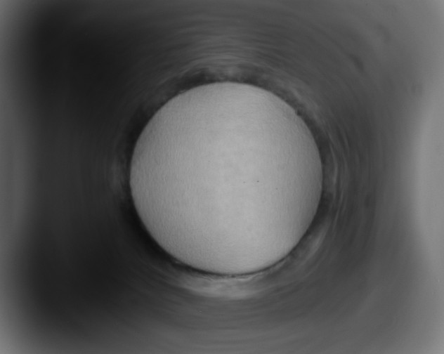 X0000087540040200705181056