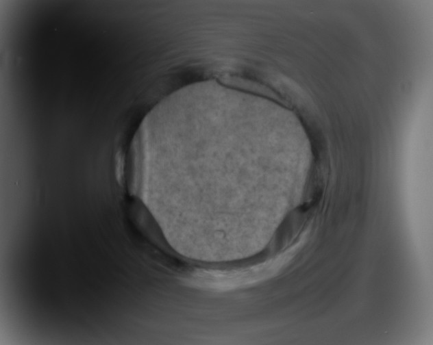 X0000087540041200705181056