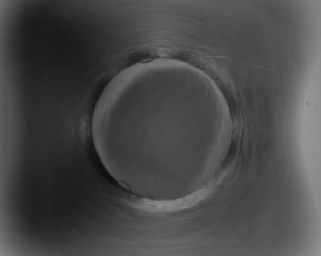 X0000087540043200705181056