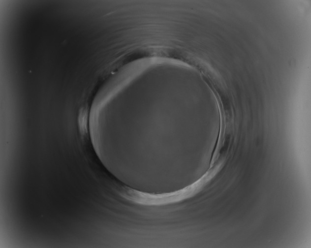 X0000087540047200705181056