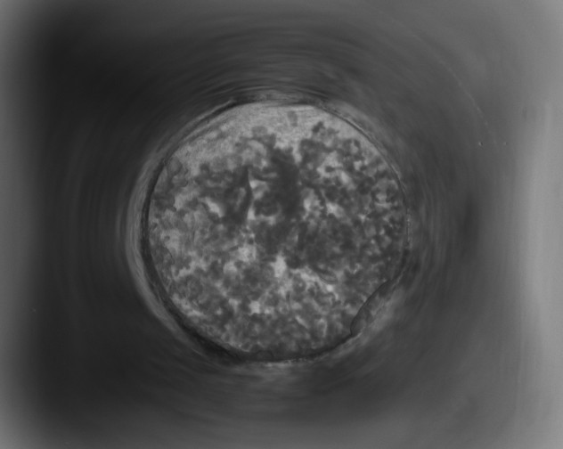 X0000087540049200705181056