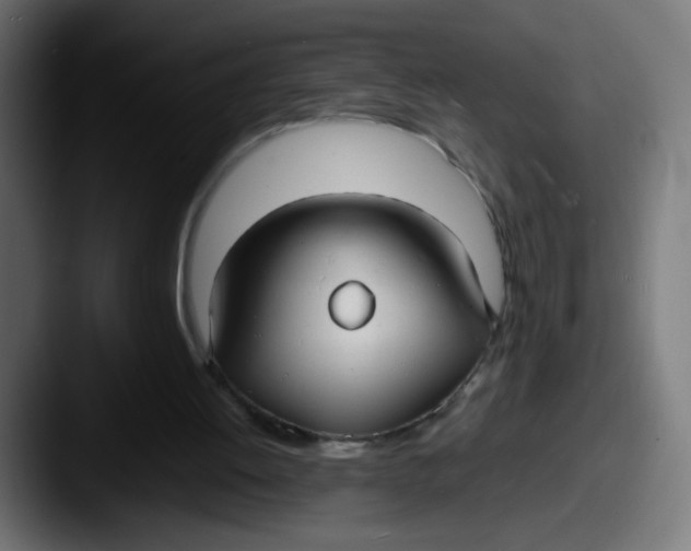 X0000087540052200705181056