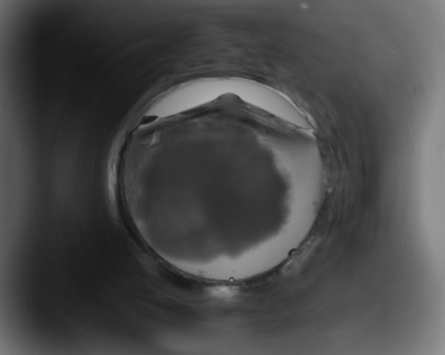 X0000087540053200705181056