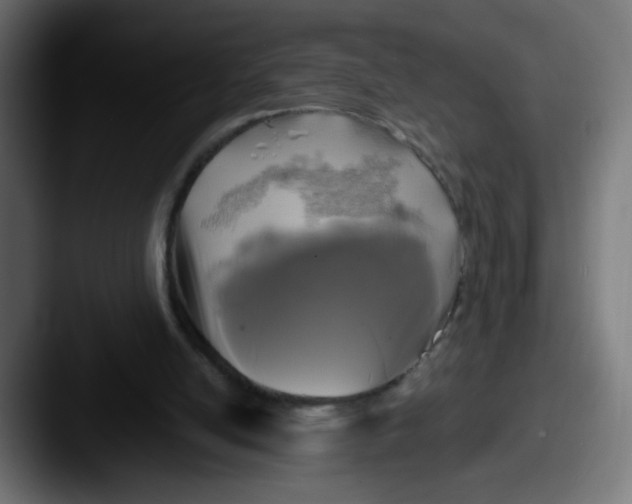 X0000087540054200705181056