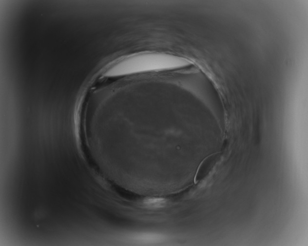 X0000087540055200705181056