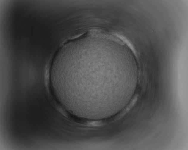 X0000087540057200705181056