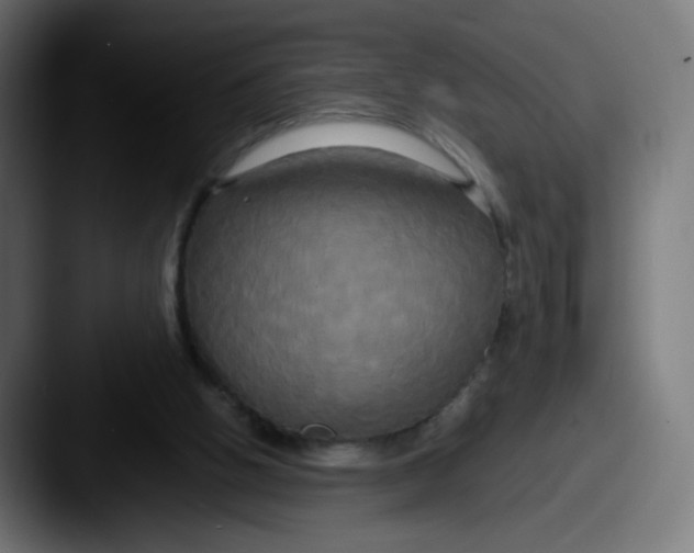 X0000087540058200705181056