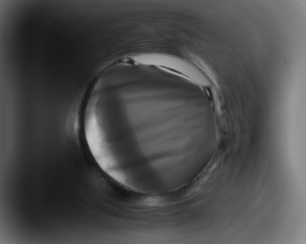 X0000087540059200705181056