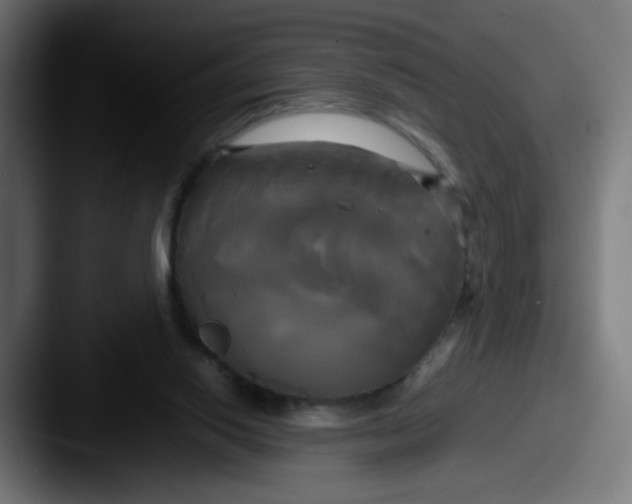 X0000087540062200705181056