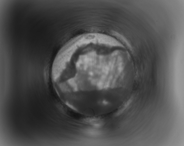 X0000087540065200705181056