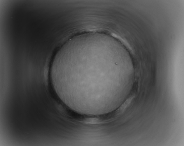 X0000087540066200705181056