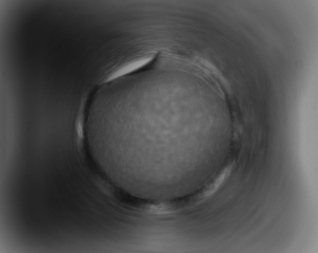 X0000087540068200705181056