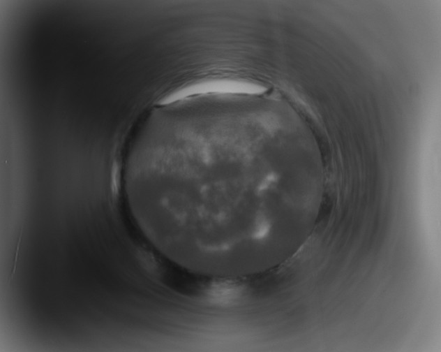 X0000087540070200705181056