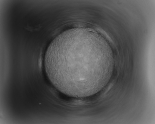 X0000087540071200705181056