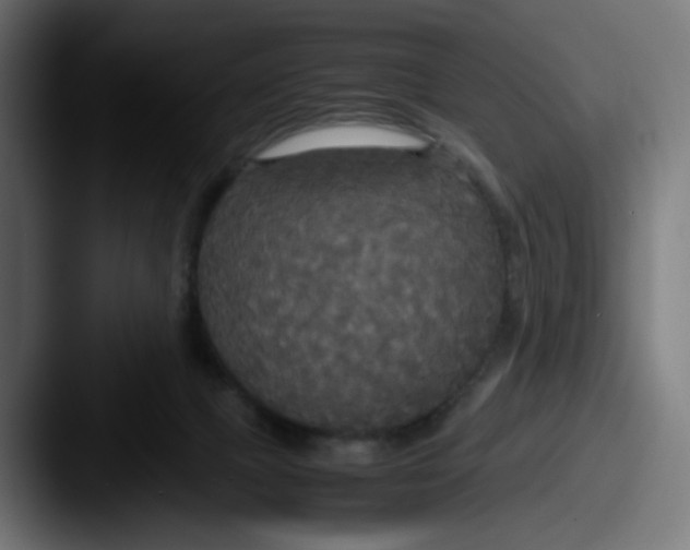 X0000087540073200705181056