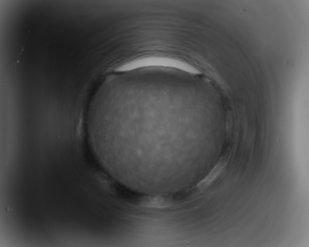 X0000087540074200705181056