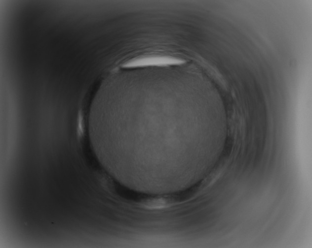 X0000087540075200705181056