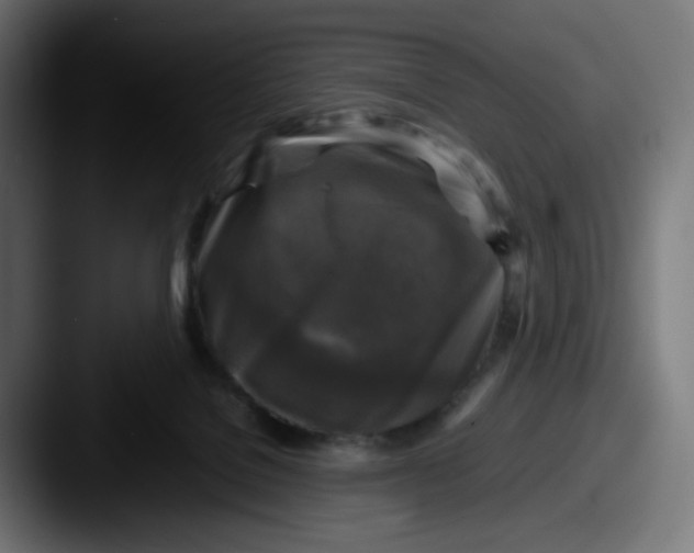 X0000087540076200705181056