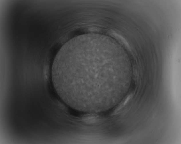 X0000087540077200705181056