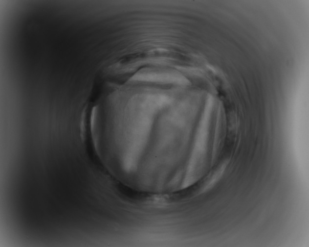 X0000087540080200705181056